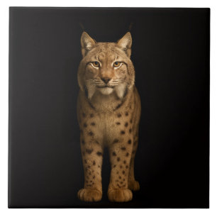 Black 4 Luxe Tile with Silent Lynx