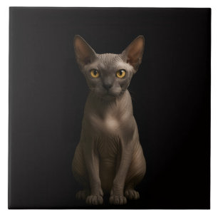 Black 4 Luxe Tile with Sphynx Cat
