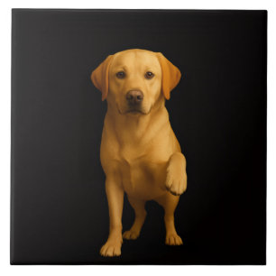 Black 4 Luxe Tile with Tender Labrador