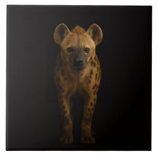 Black 4 Luxe Tile with Wild Spotted Hyena