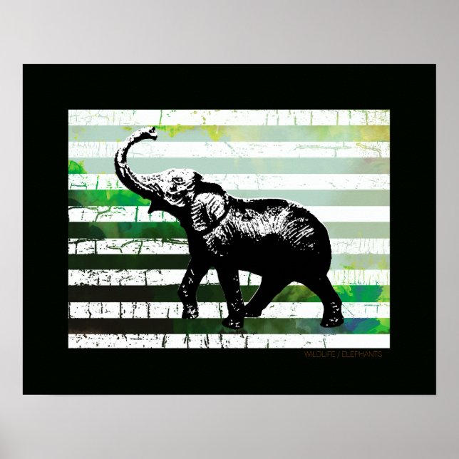 black Africa elephant & stripes Poster (Front)