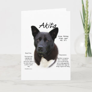 Black Akita History Design Holiday Card