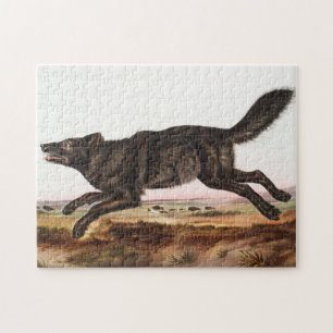 Black American Wolf (Canis lupus) Illustration Jigsaw Puzzle