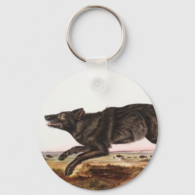 Black American Wolf (Canis lupus) Illustration Key Ring (Front)