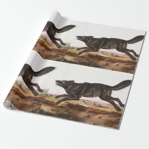 Black American Wolf (Canis lupus) Illustration Wrapping Paper