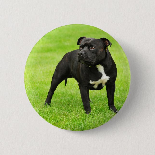 Black Amstaff 6 Cm Round Badge (Front)