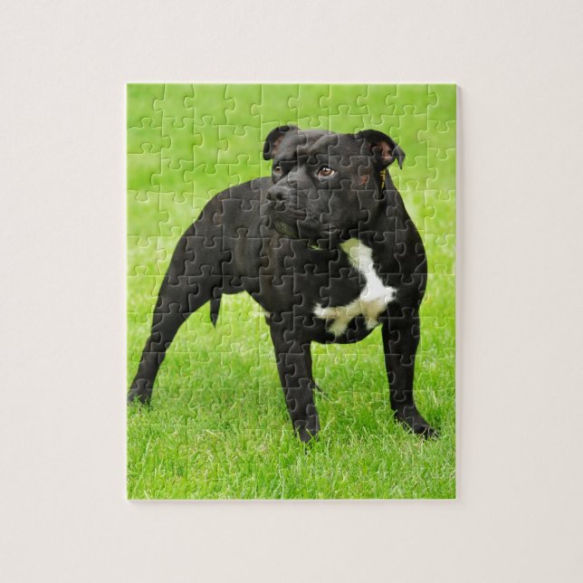 Black Amstaff Jigsaw Puzzle (Vertical)