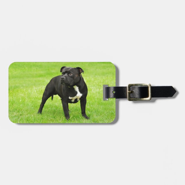 Black Amstaff Luggage Tag (Front Horizontal)