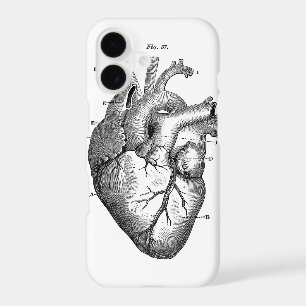 Black Anatomical Heart