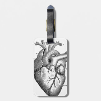Black Anatomical Heart Luggage Tag