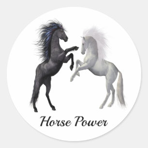 Black and a white Horse that are fighting Classic Round Sticker