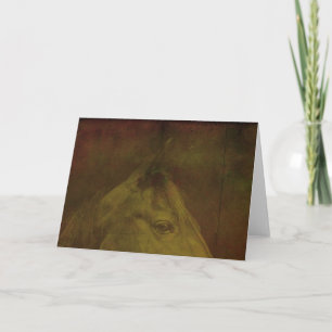 Black and Beautiful Horse  Card