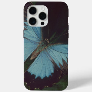 Black and blue butterfly iPhone 15 pro max case