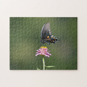 Black and Blue Butterfly on Pink Flower Nature Jigsaw Puzzle