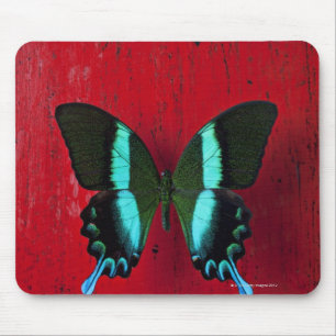 Black and blue butterfly on red wall mouse mat