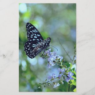 Black And Blue Butterfly Stationery