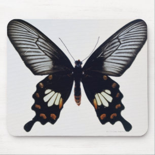 Black and brown butterfly mouse mat