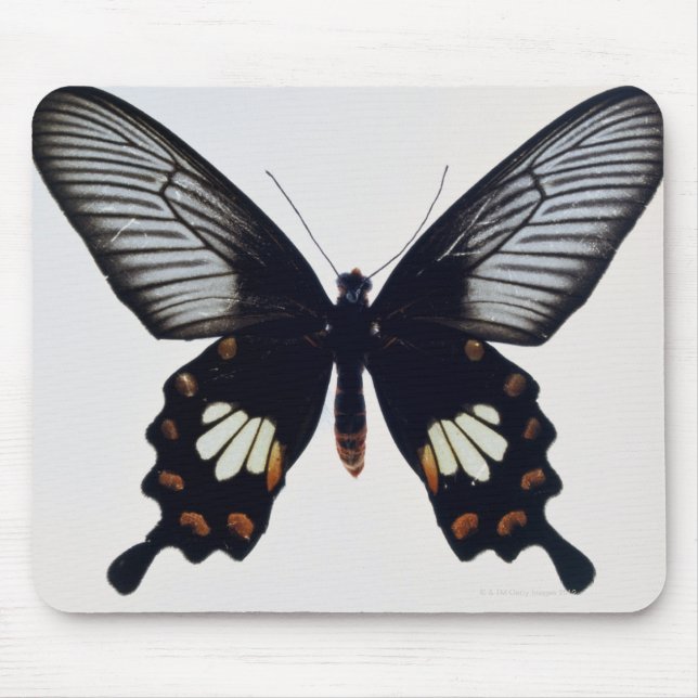 Black and brown butterfly mouse mat (Front)