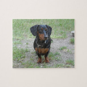 Black and Brown Dachshund Jigsaw Puzzle