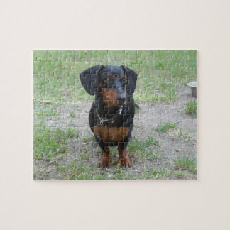 Black and Brown Dachshund Jigsaw Puzzle