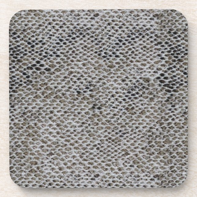 Black and Brown Snake Skin Coaster (Front)