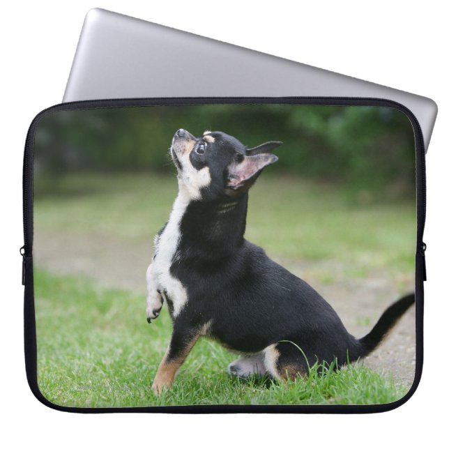 Black and Cream Chihuahua Laptop Sleeve (Front)