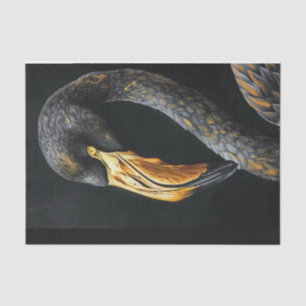 Black and Gold Flamingo3 Tissue Paper