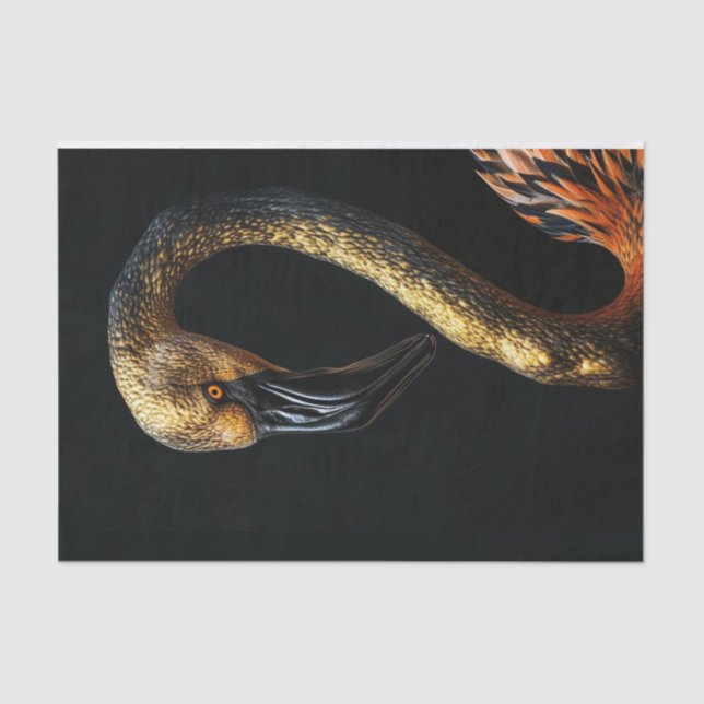 Black and Gold Flamingo7 Tissue Paper (Front)