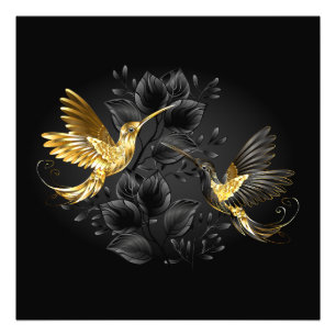 Black and Gold Hummingbird Photo Print