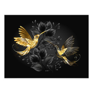 Black and Gold Hummingbird Photo Print