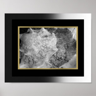 Black and Gold Tropical Seashell Printable Art Poster