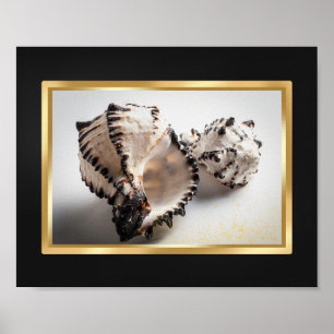 Black and Gold Tropical Seashell Printable Art  Poster