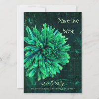 Black and Green Chrysanthemum