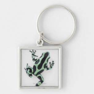 Black and Green Poison Dart Frog 2 Key Ring