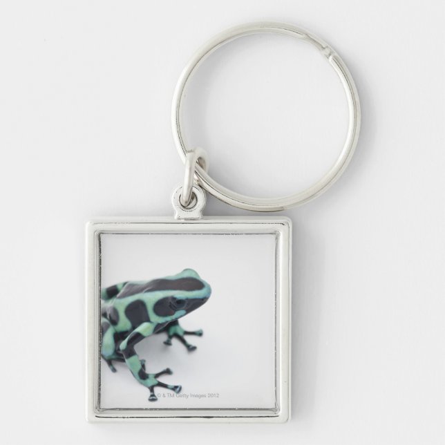 black and green poison dart frog (dendrobates key ring (Front)