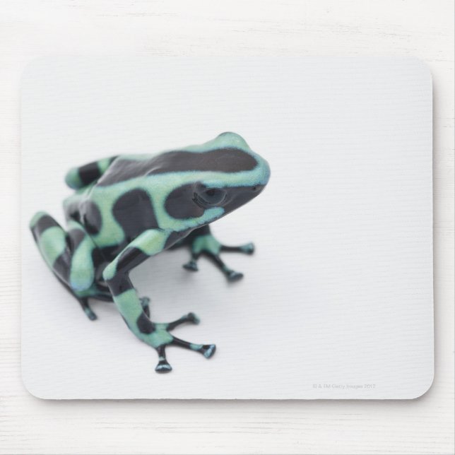 black and green poison dart frog (dendrobates mouse mat (Front)