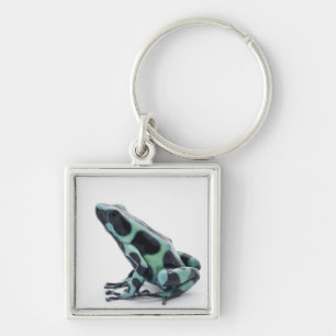 Black and Green Poison Dart Frog Key Ring
