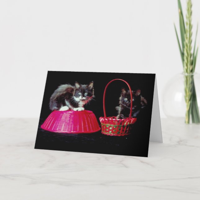 Black and Grey Cats on Pink Easter Baskets Holiday Card (Front)