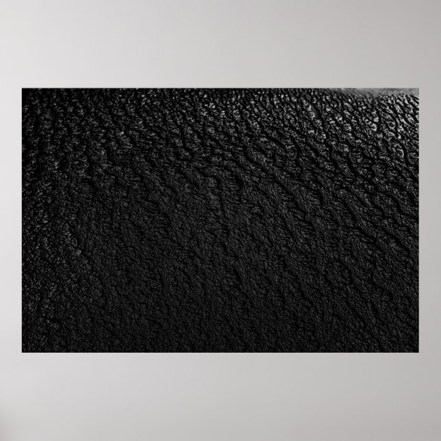 Black and grey floral textile poster (Front)