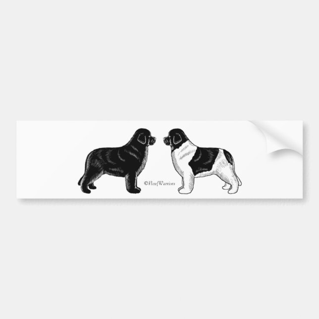 Black and Landseer Newfoundland Dogs Bumper Sticker (Front)