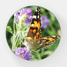 Black and Orange Butterfly on Lilac Flower