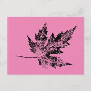 "Black and Pink Maple" Country Roads Postcard
