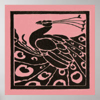 BLACK AND PINK PEACOCK