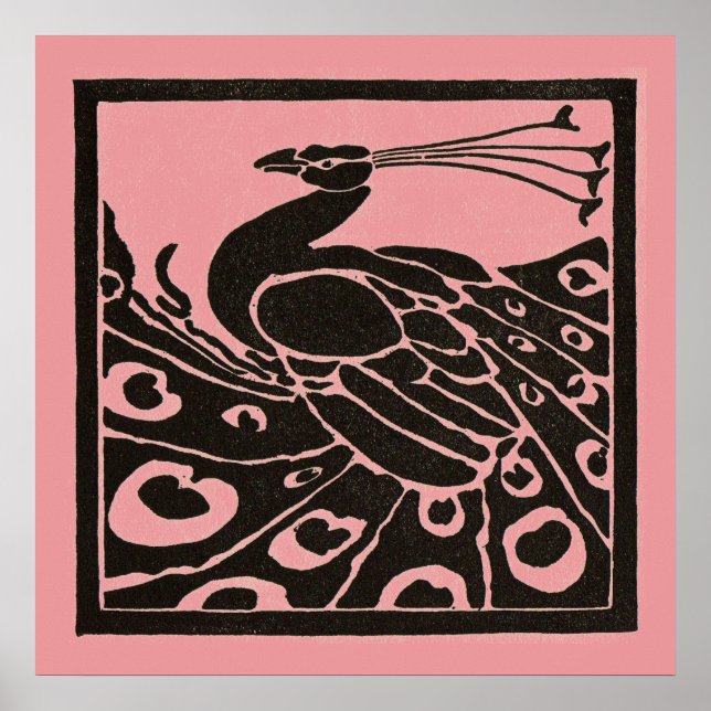 BLACK AND PINK PEACOCK POSTER (Front)