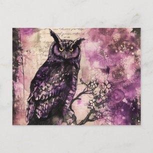 Black and Purple Gothic Owl Halloween Holiday Postcard