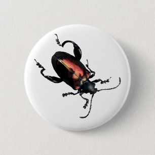 Black and Red Beetle bug 6 Cm Round Badge