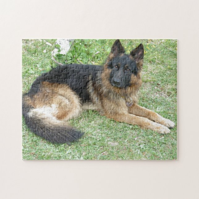 Black and Tan Alsatian Jigsaw Puzzle (Horizontal)