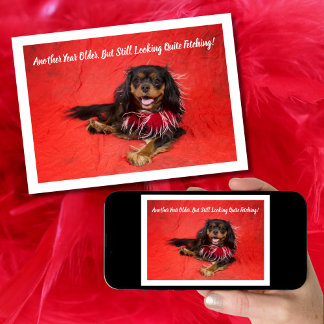 Black and Tan Cavalier King Charles Boa Birthday Card