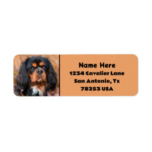 Black and Tan Cavalier King Charles Return Address