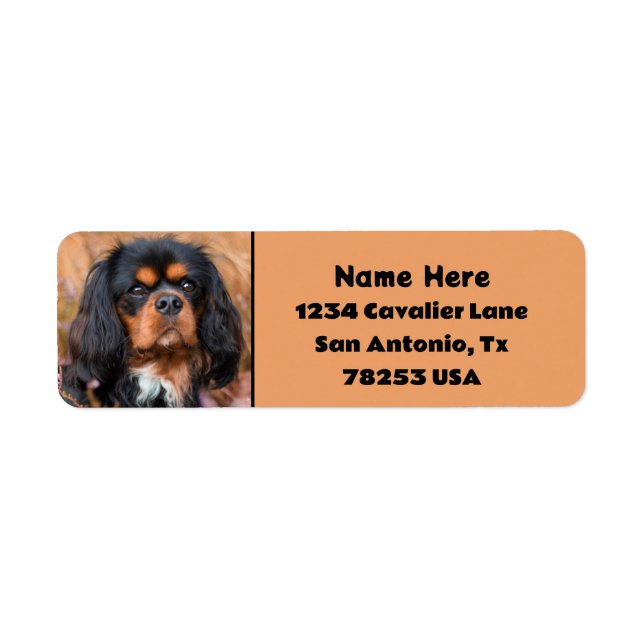 Black and Tan Cavalier King Charles Return Address (Front)